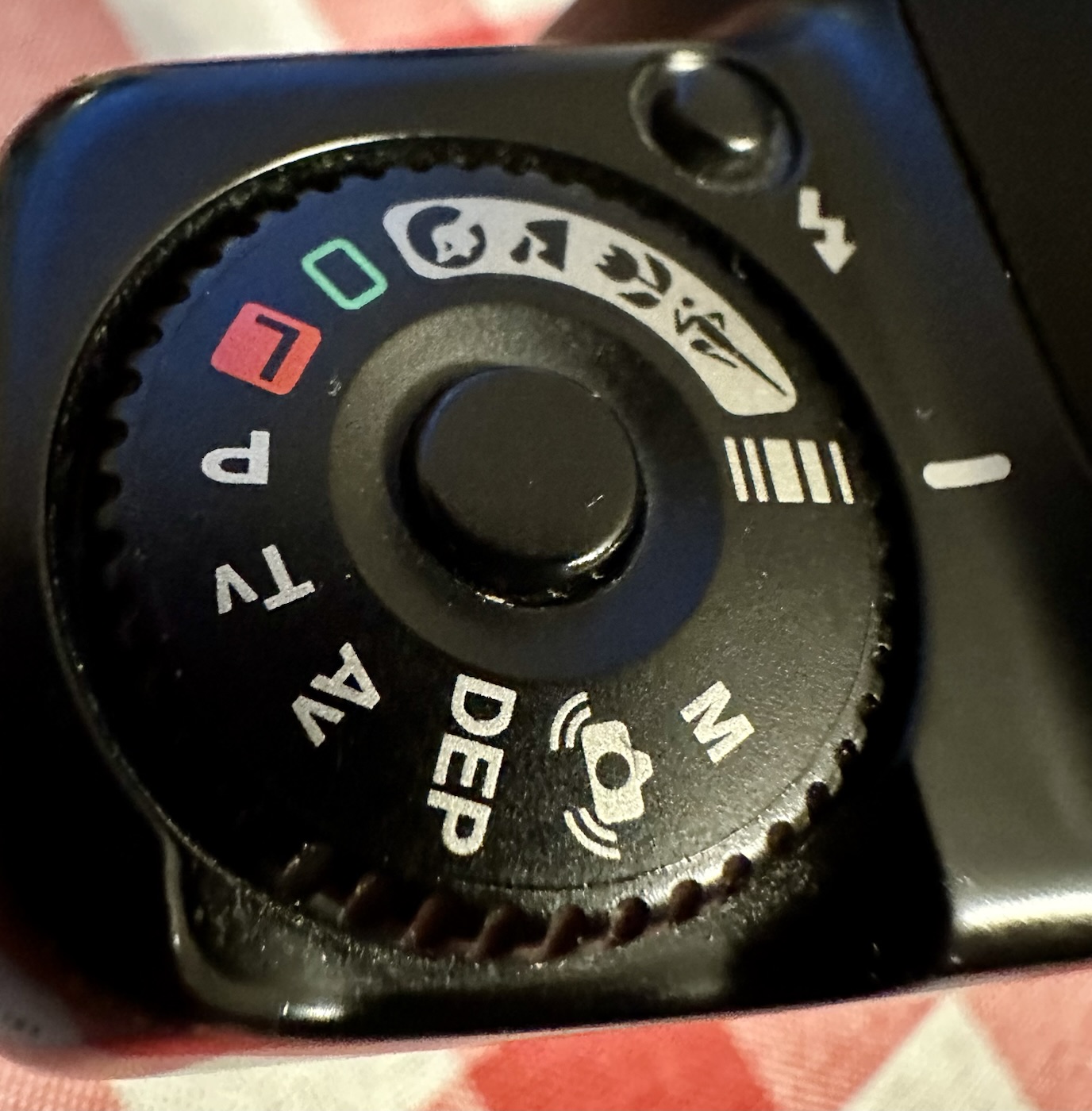 Canon EOS 10 – Foxes Den