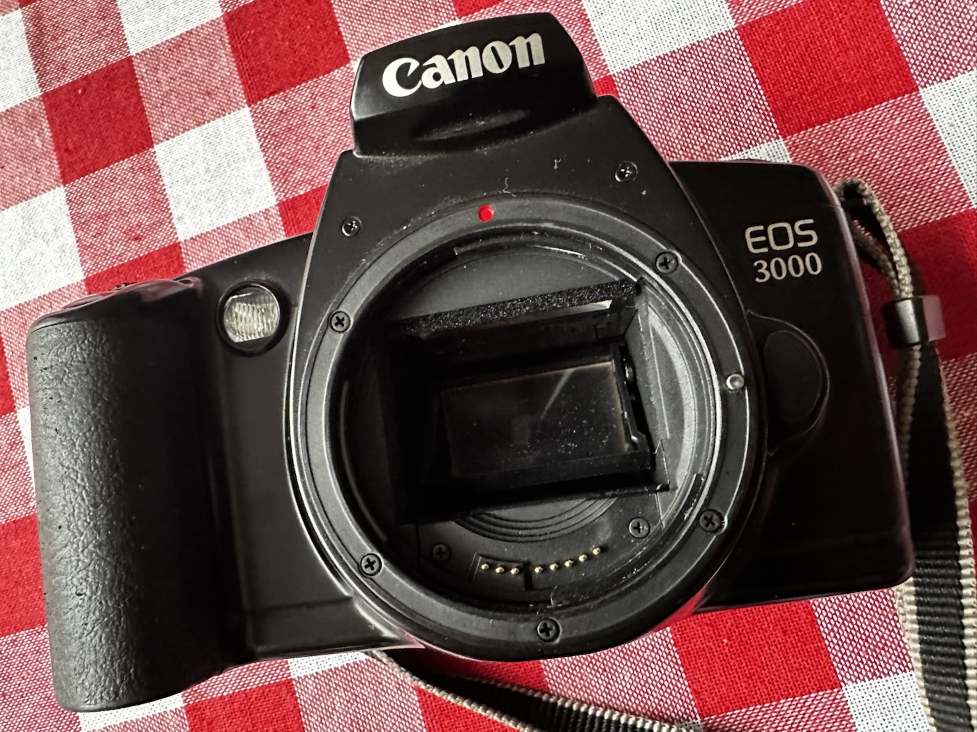 Canon EOS 3000 – Foxes Den