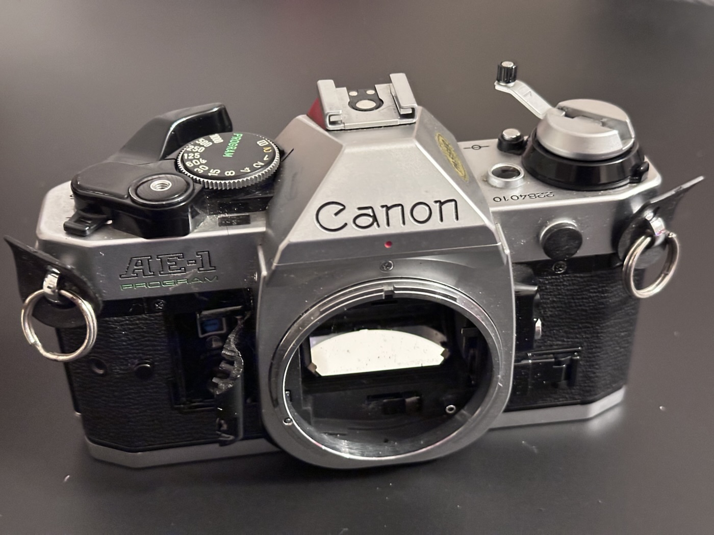 Canon AE1 – Program – Foxes Den
