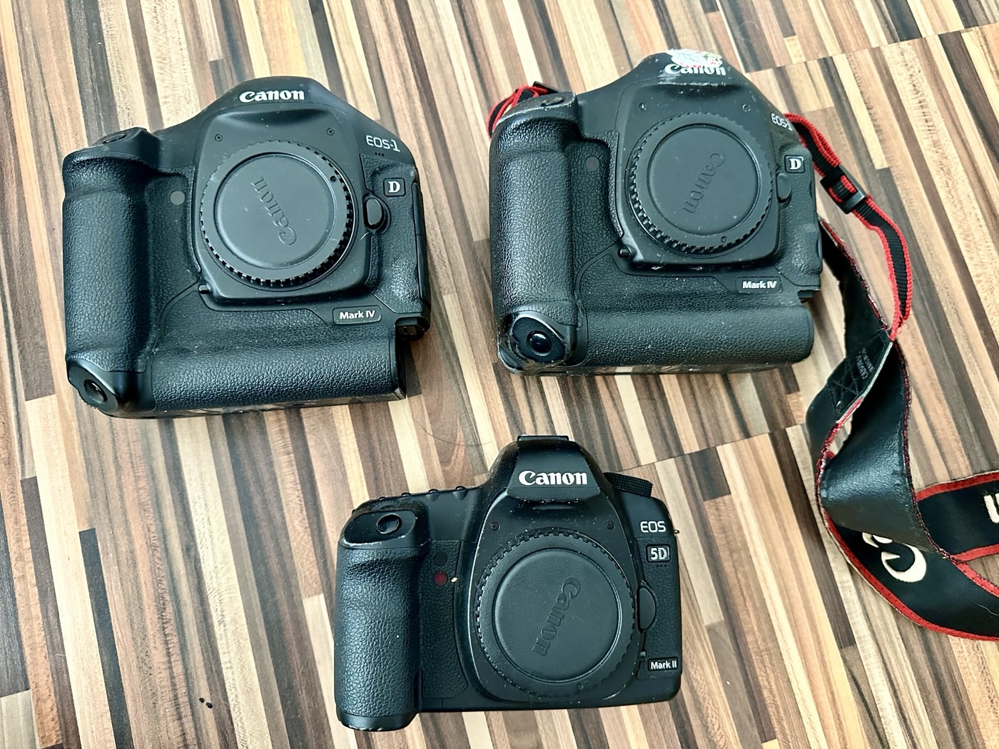 Canon EOS 5D MkII – Foxes Den