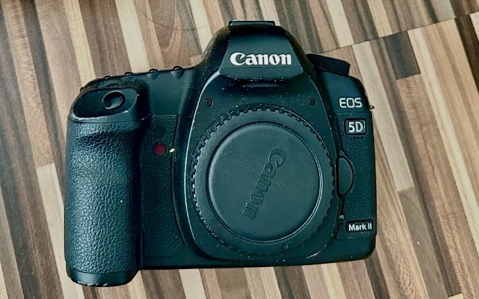 Canon EOS 5D MkII – Foxes Den